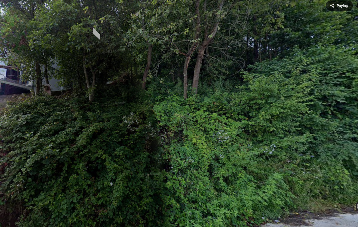 KARLIK'DA FIRSAT ARSA